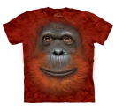 Koszulka Mountain Orangutan