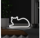 Lampa Neonowy Kot