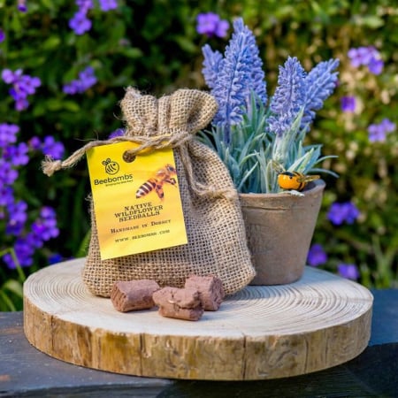 Bomby z Nasionami Beebombs