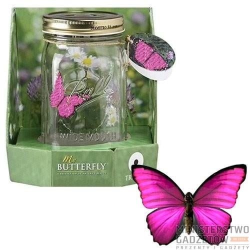 Motyl w Słoiku
