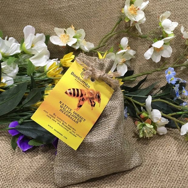 Bomby z Nasionami Beebombs