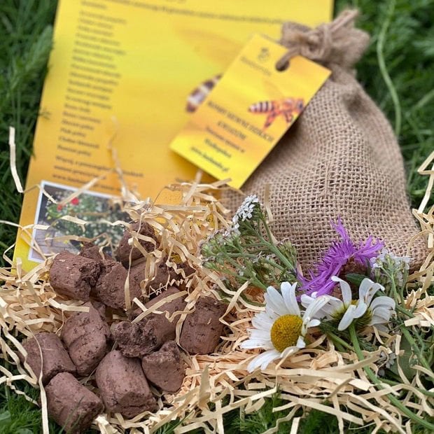 Bomby z Nasionami Beebombs