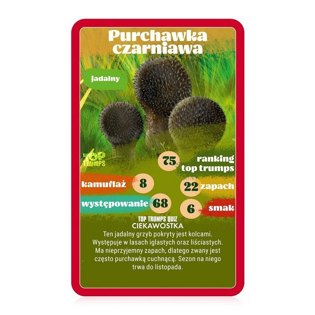 Gra Karciana Grzybobranie