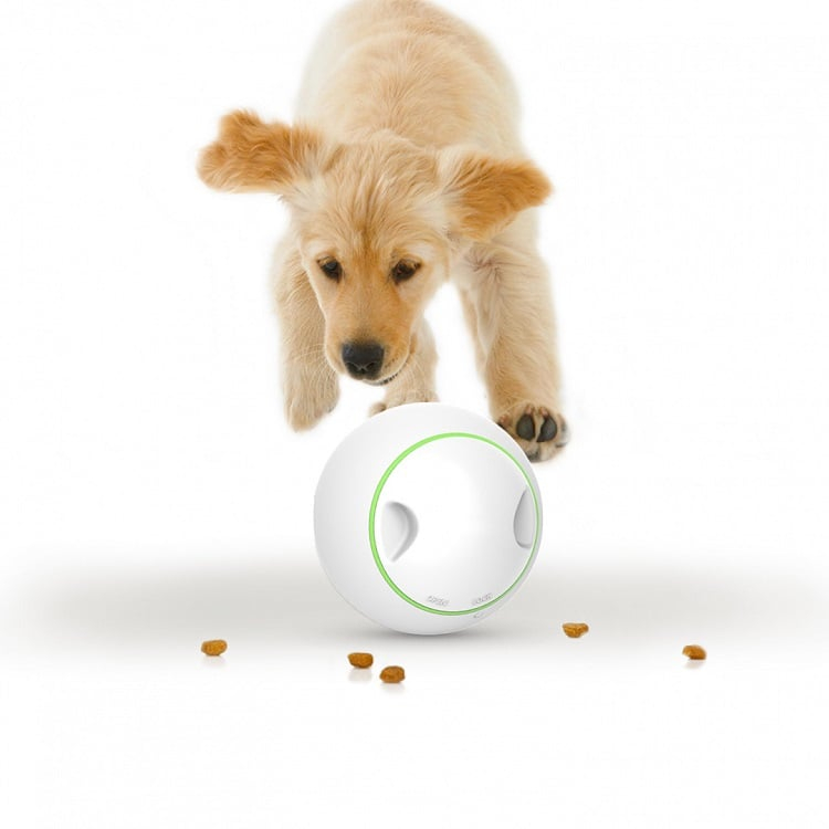 Interaktywna Piłka dla Psa