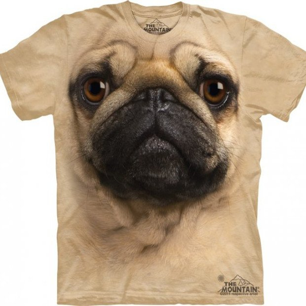 Koszulka Mountain Mops