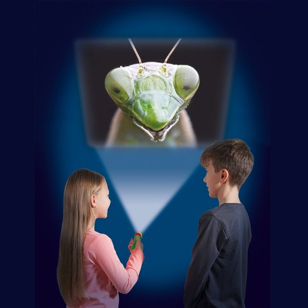 Latarka Projektor Owadów
