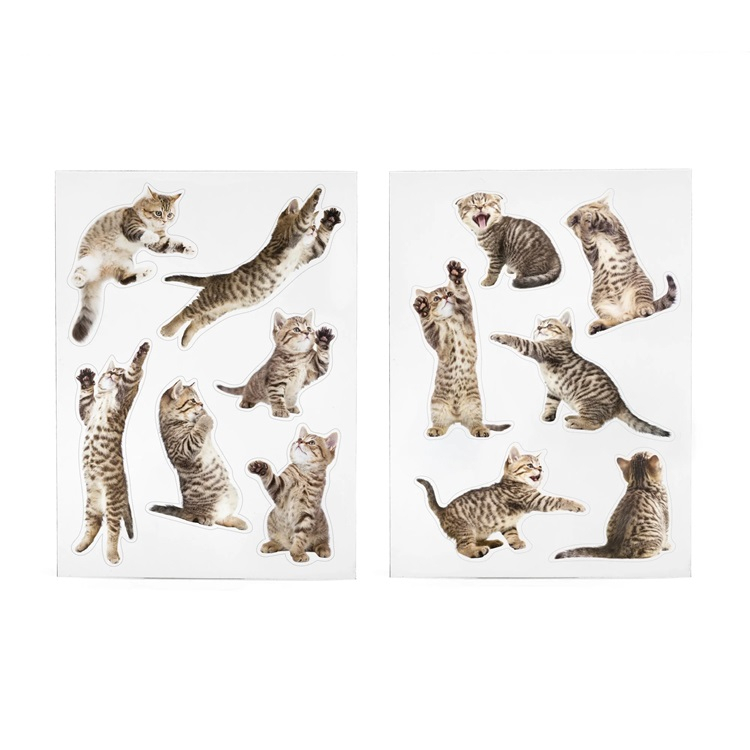 Magnesy Koty na Lodówkę