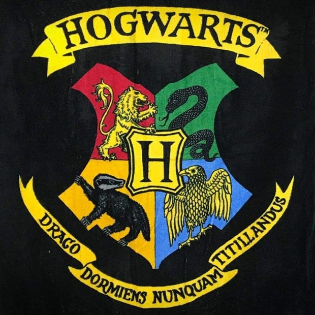 Ręcznik Harry Potter