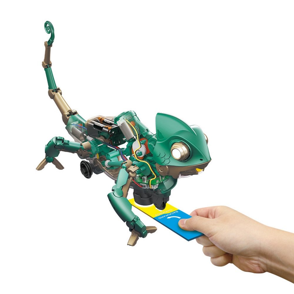 Robot Kodujący Kameleon Codee