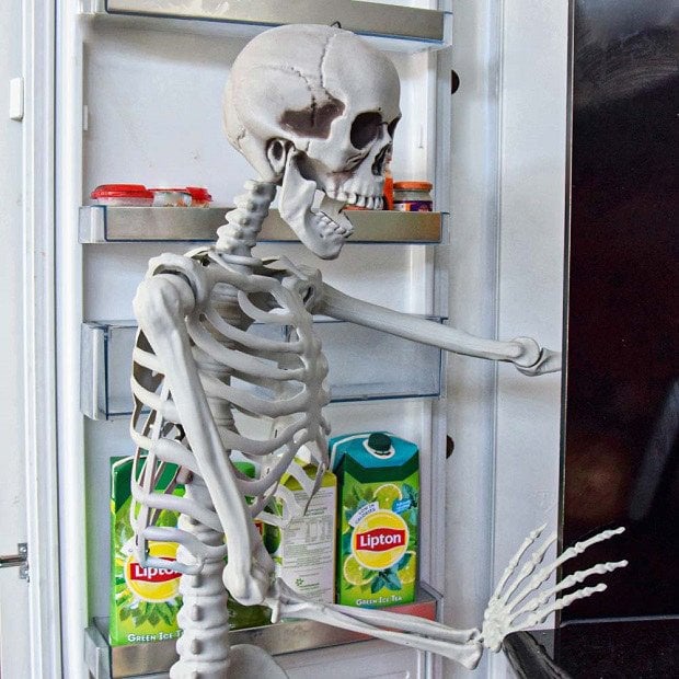 Szkielet Człowieka 170cm