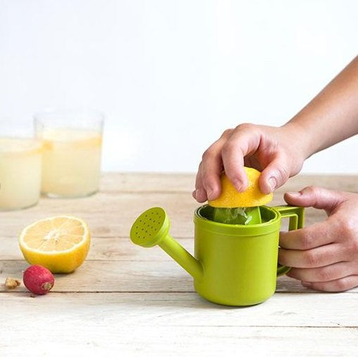 Wyciskacz do Cytrusów Konewka