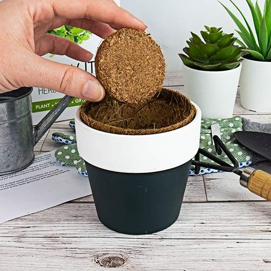 Zestaw do Hodowli Roślinki