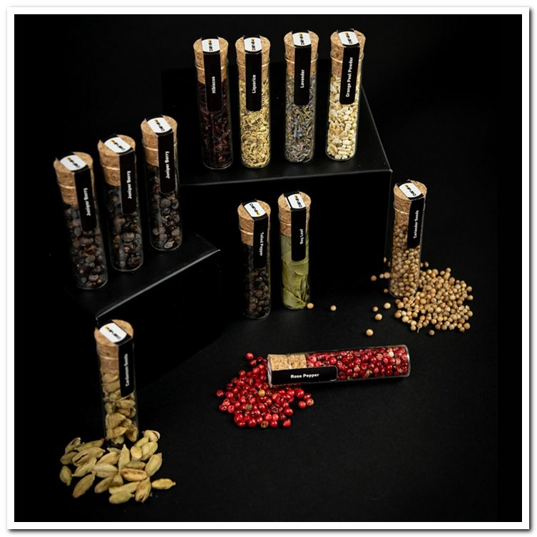 Zestaw do Robienia Ginu z Przyprawami i Akcesoriami