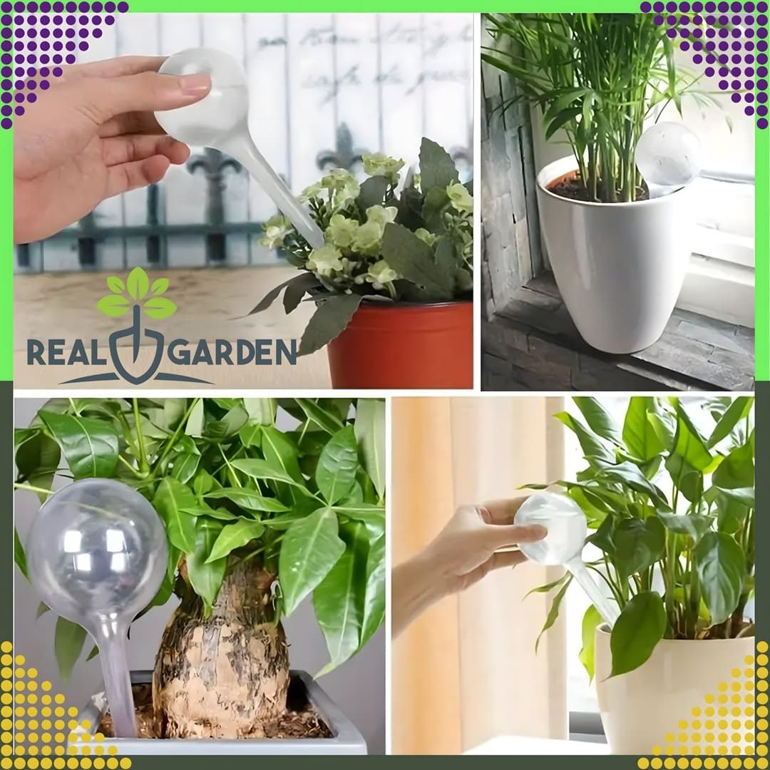 Zestaw 8 Kul Nawadniających do Kwiatów